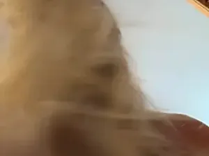 allyanalangell